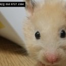 바이오농장 이미지