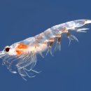 지(G)에스 이미지