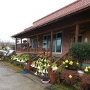 들꽃정원민박 이미지