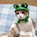 몽크 이미지