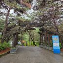 충북 걷기 좋은길 Best 3 - 속리산 보은 세조길/괴산 산막이옛길/충주 종댕이길