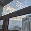 성빈센트병원 후문 | 수원 성빈센트병원 이비인후과 수술과 입원 후기