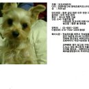뭉치 - 동두천시 평화로2313번길 7-10 | 뭉치