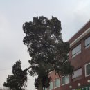 단평2리 이미지