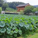 스터디53