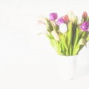 고기의풍미 이미지