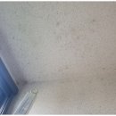 클린케이 이미지