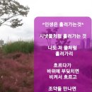 모*춘