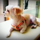 내품에동물병원 이미지