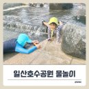 세븐일레븐 일산공원분수점 | 일산 무료 물놀이 찾는다면 일산호수공원 계단바닥분수!