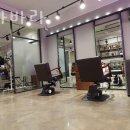 릴라 바바라 이미지