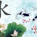 양성 석조여래입상 이미지