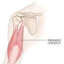 우리짐 홍대점 이미지
