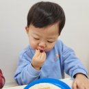 상봉어린이집 네이버블로그