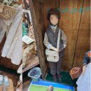 코리아안경 이미지