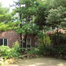 나리와꽃창포 이미지