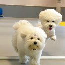 용호유치원 이미지