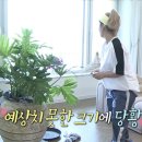 나래인테리어 이미지