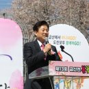 금산첨화