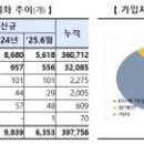 다올미르 이미지