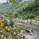 샤라의정원 펜션 이미지