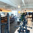 모티빅 피트니스 이미지