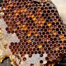 성심행정사 이미지