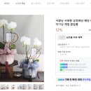 제이미플레르