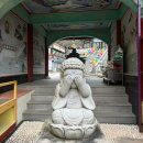 뉴에스원공인중개사사무소 | 2026-2, 지금 내 상태 그냥 투컷된 2월우동일상, 누구보다 많이 노는 직장인 일기