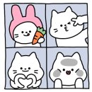 대성 축산물 이미지
