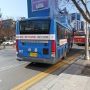 2.28기념중앙공원 이미지