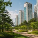 중앙공원.양지마을청구아파트 | 분당 수내동 양지마을 청구2단지 재건축 시세.. 선도지구 지정 및 실거래가 현황