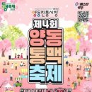 광주광역시 도시철도공사(도산역) | 양동통맥축제 2026 완벽 정리 | 먹거리·주차 꿀팁까지