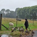 투어 팜(TOUR FARM) 이미지