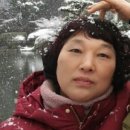 시릿골 농장 Daum카페