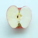 제이엘피트니스 이미지