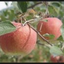 박달농원 이미지