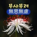 썬클럽 티스토리
