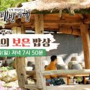 보은정육점 티스토리