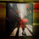 마토 | 마토’ 날들 31