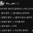 멍멍&야옹 이미지