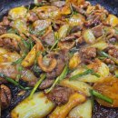 시골오리 이미지