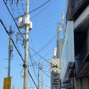 2024-주217 | [경남/진해] 로망스 투어 2026 진해군항제 벚꽃 개화 상황 및 후기