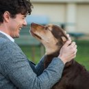 독스(Dog's) 이미지