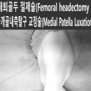 쥬만지동물의료센터 이미지