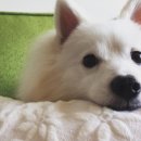 빙수네민박 이미지