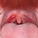 day one fitness 이미지