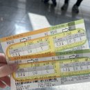 한국엠엔에프영농조합법인 | 2026 청양 알프스마을 얼음분수축제 후기 및 꿀팁