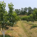 선행농원 이미지