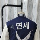 이레자